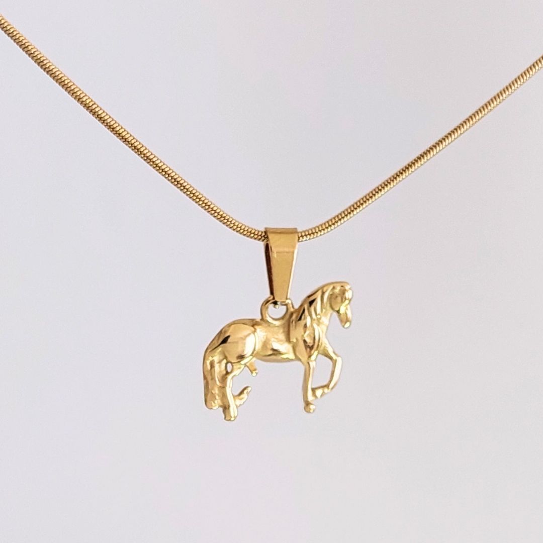 Dije Equino