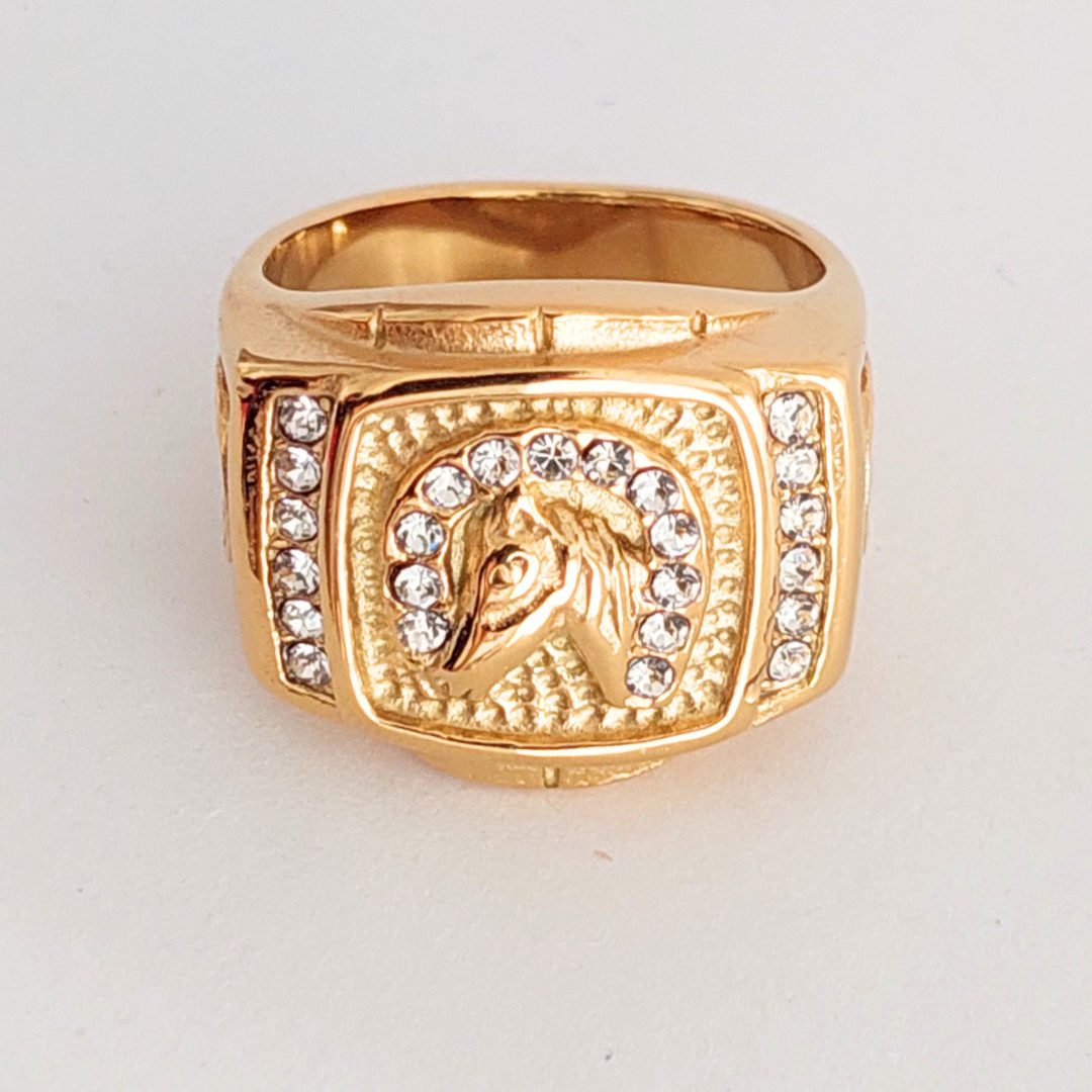 Anillo Herradura