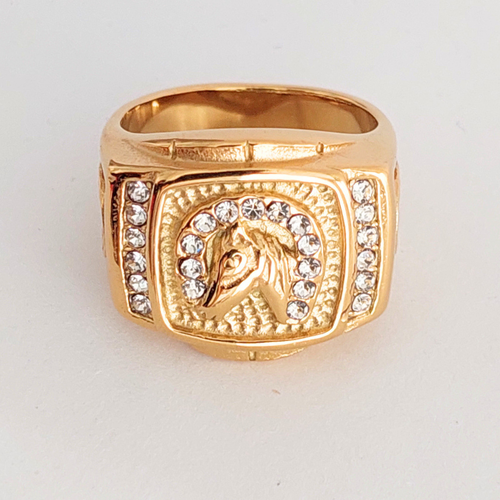 Anillo Herradura