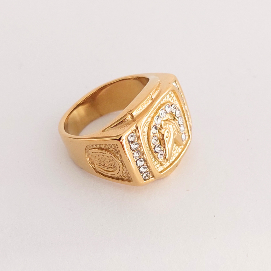 Anillo Herradura