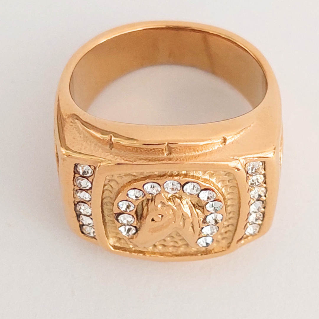 Anillo Herradura